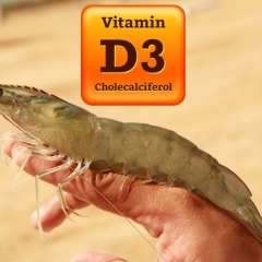 Vitamin D3 tăng cường khả năng miễn dịch cho tôm